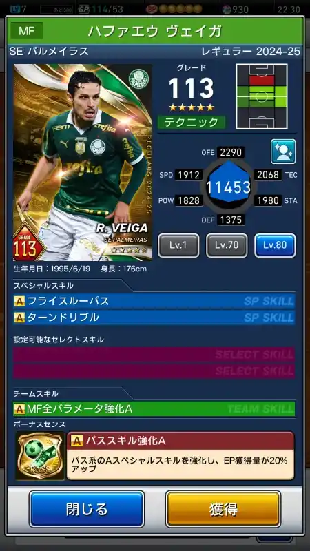  ハファエウヴェイガ SE パルメイラス（グレード：113）のスキルデータ