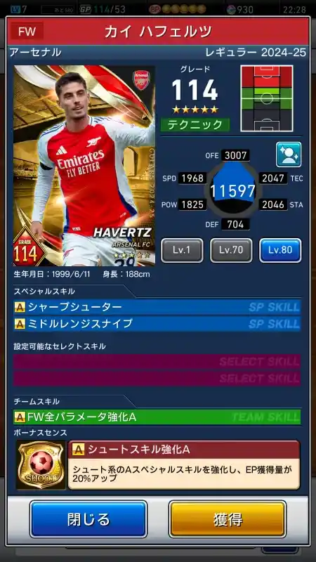  カイハフェルツ アーセナル（グレード：114）のスキルデータ