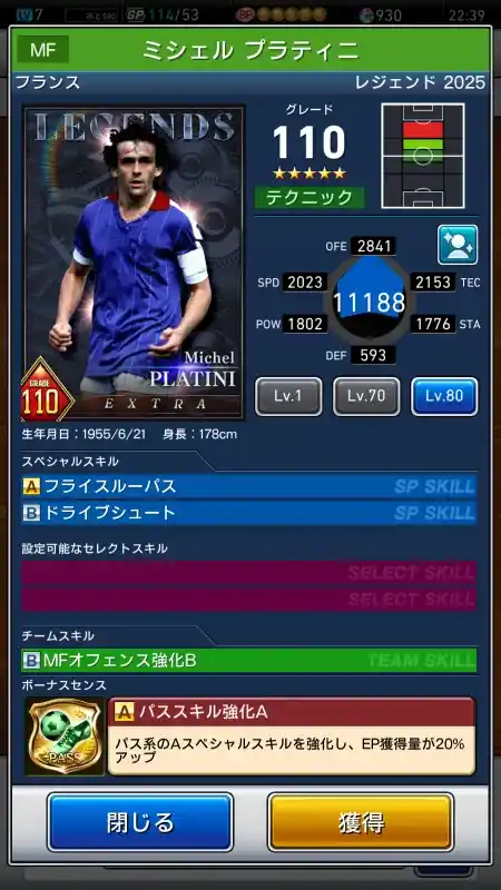 ミシェル プラティニの選手データ